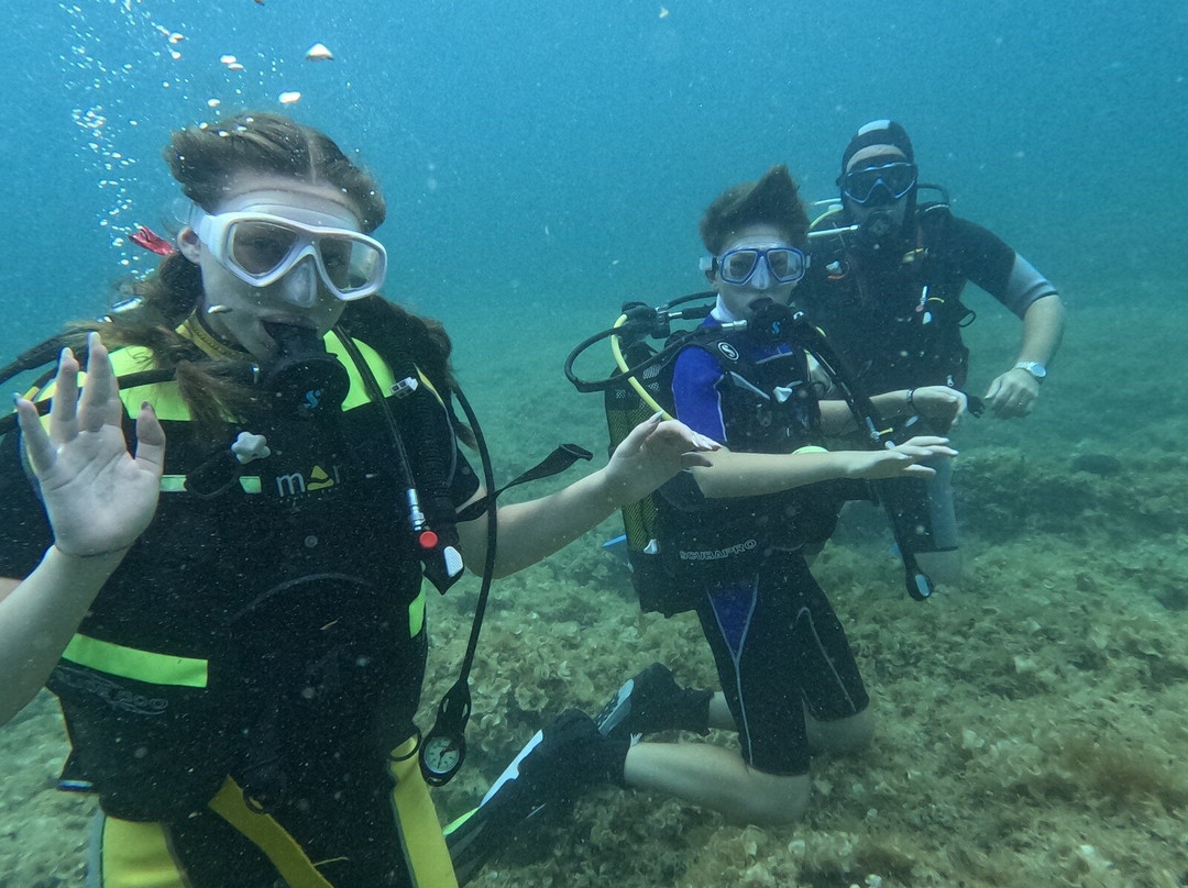 Diving Service-Morciano di Leuca必去景点