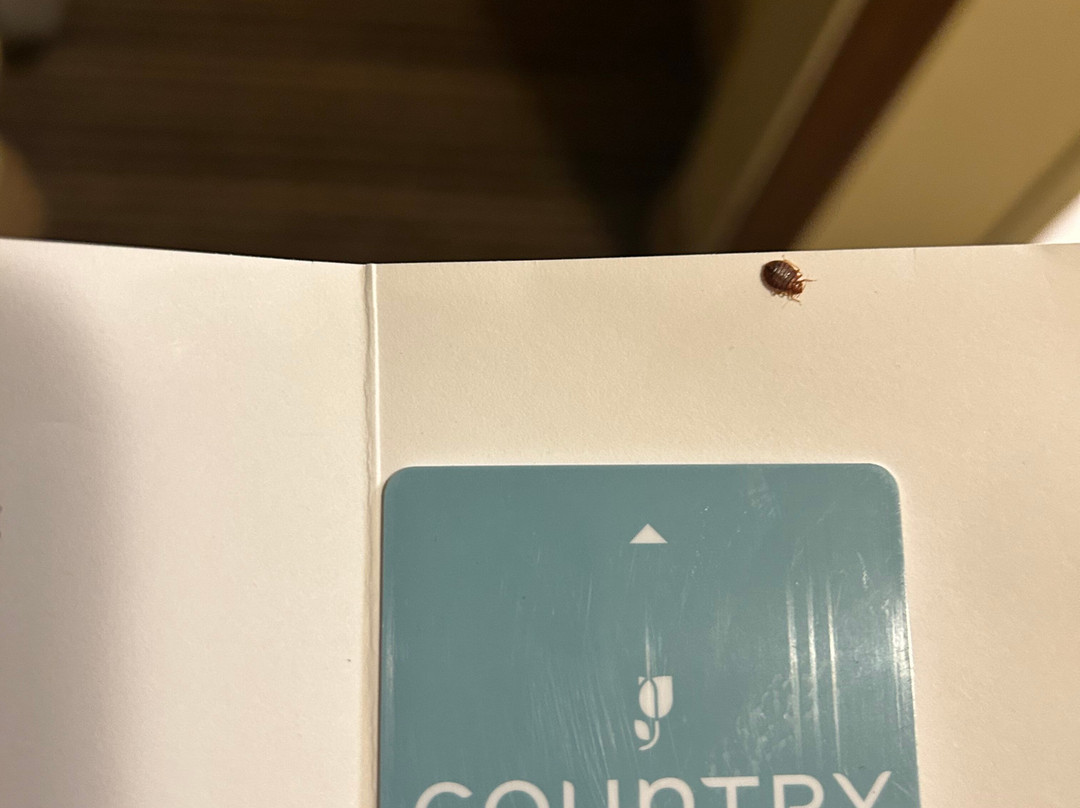 Country Inn & Suites by Radisson, Macedonia, OH主图