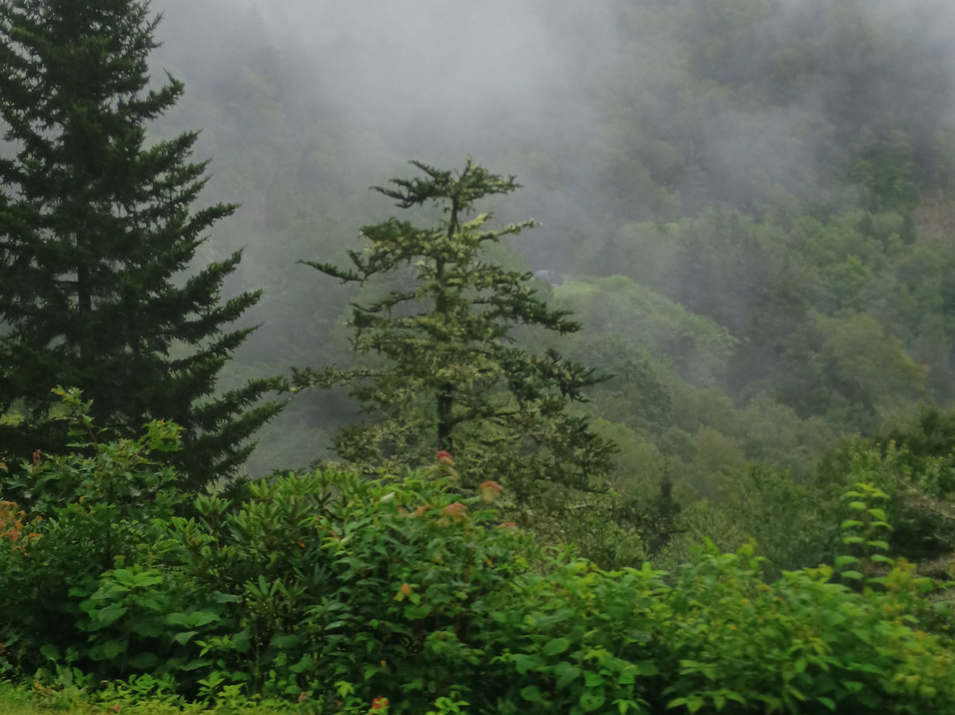 Maggie Valley Area Chamber of Commerce & Visitor Center-Maggie Valley必去景点