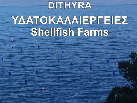 Zougla Beach-Olympiada必去景点