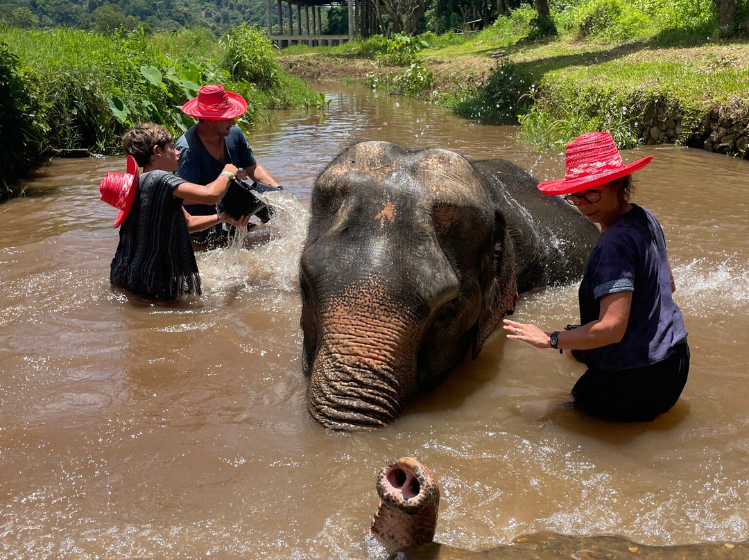 Doi Lom Elephant Rescue Sanctuary-夜登必去景点