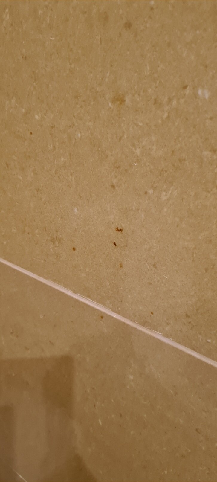 Massouri Beach Hotel-官方