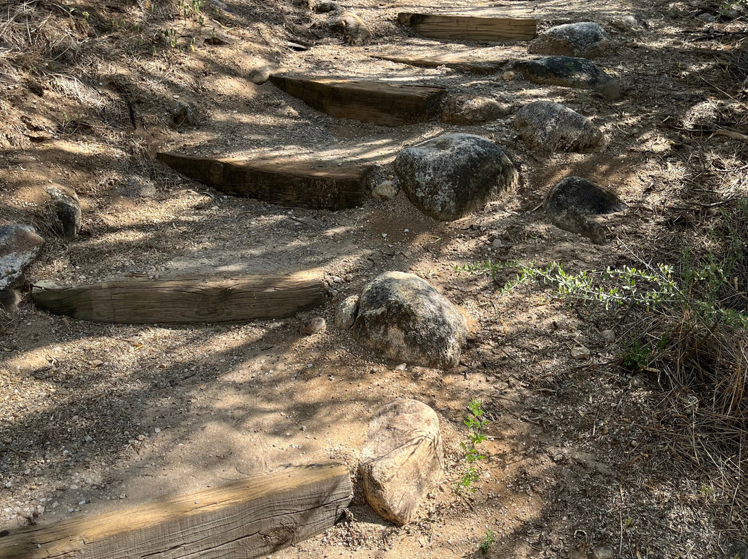 Catalina State Park-图森必去景点