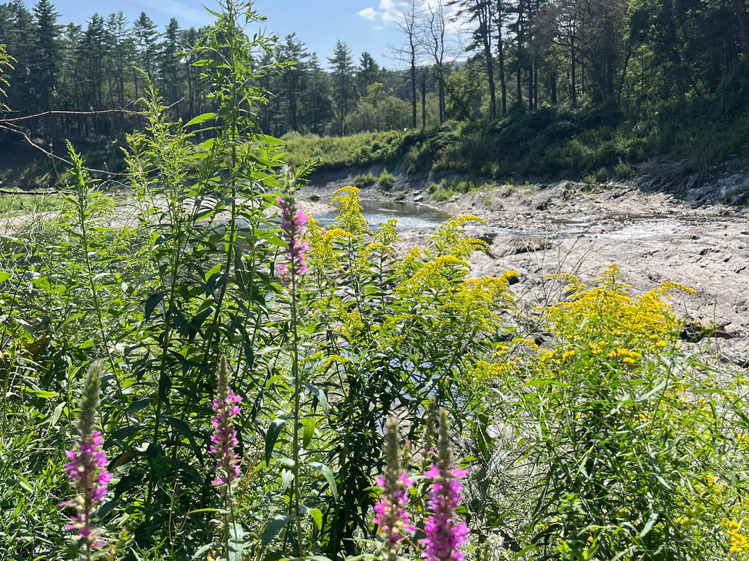 Quechee Gorge-Quechee必去景点