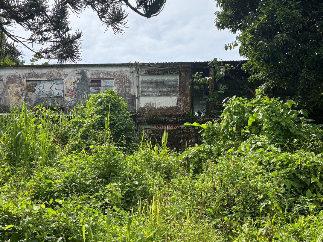Saut de la Lézarde-Petit-Bourg必去景点