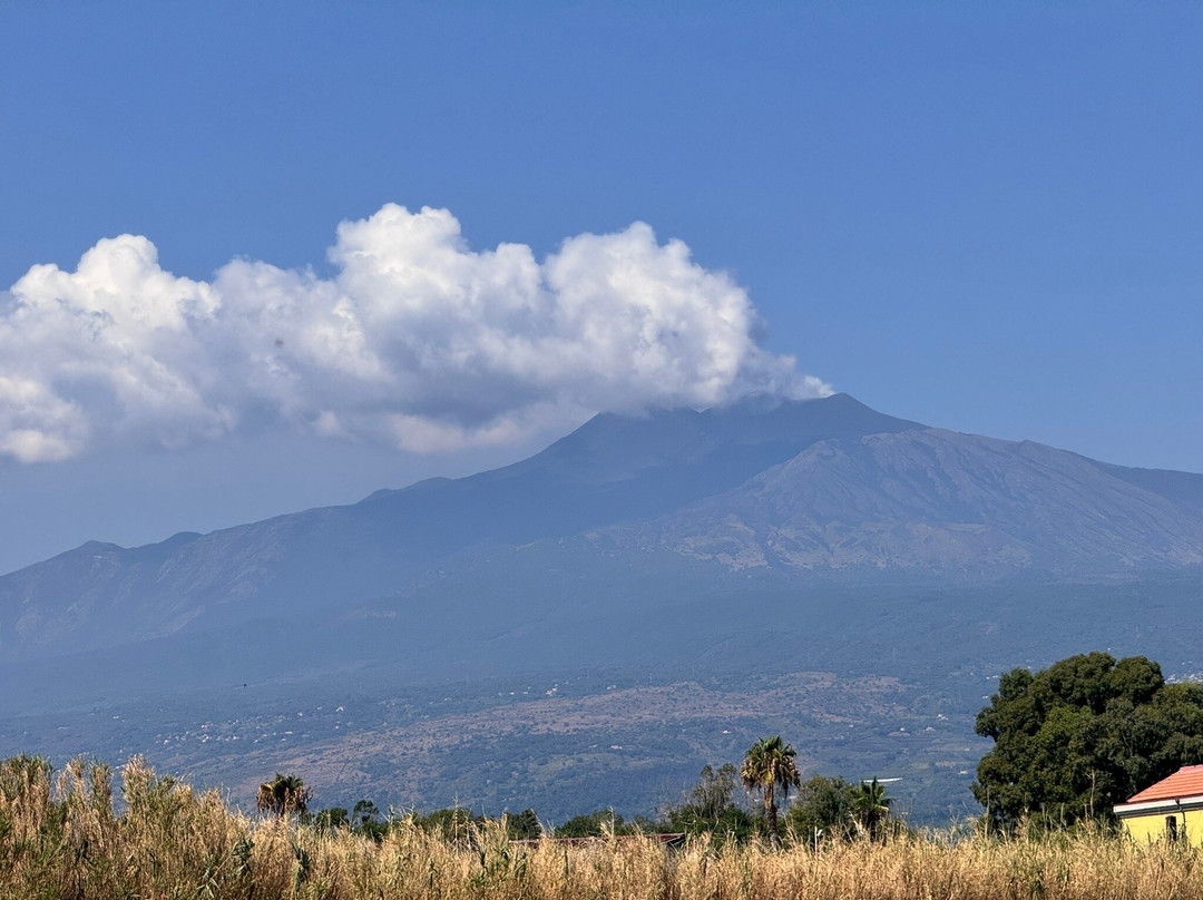 Villa Laura Apartment主图