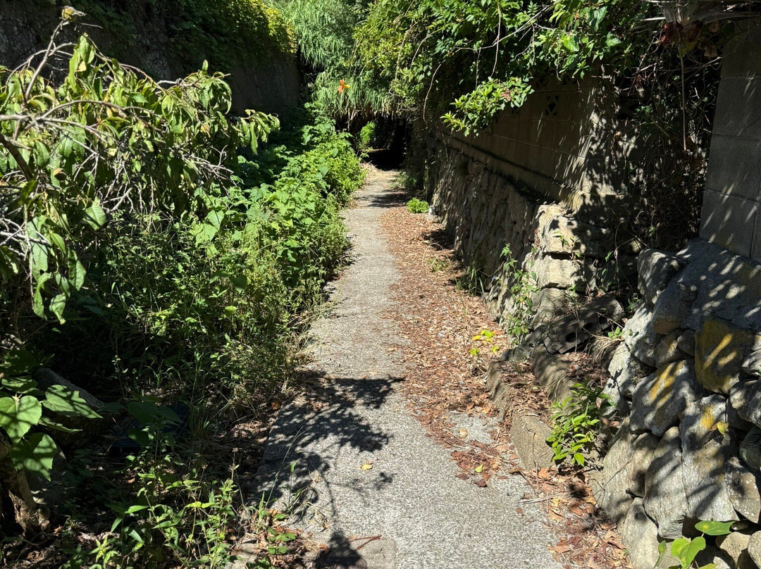 Ainoshima Island-新宫町必去景点