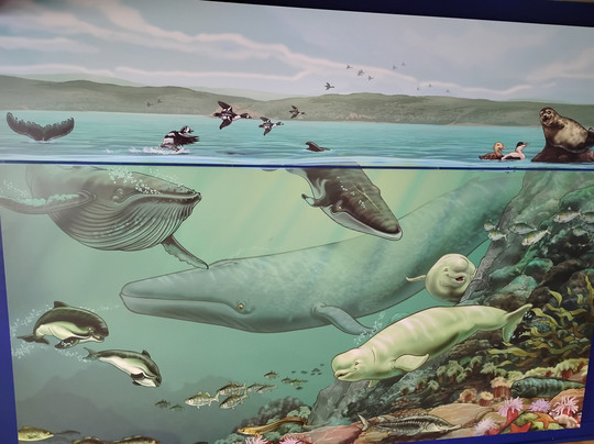 Marine Environment Discovery Centre-Les Escoumins必去景点