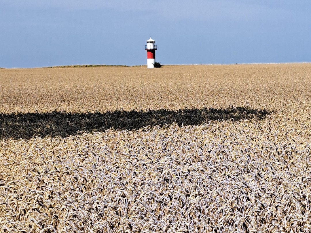Vens Cykeluthyrning-Sankt Ibb必去景点