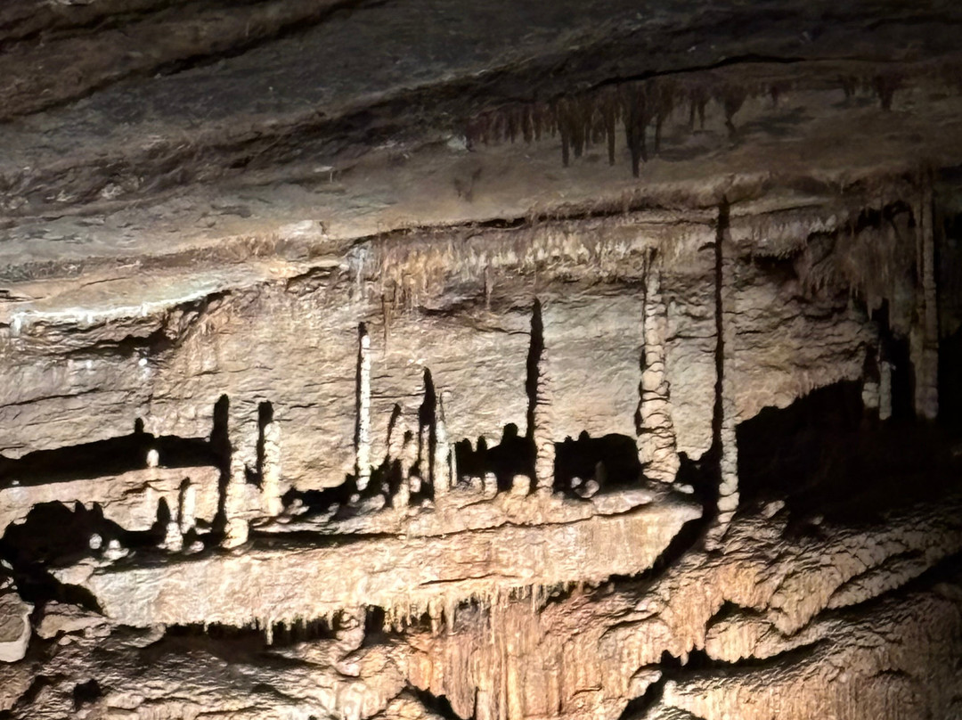 Blanchard Springs Caverns-Fifty Six必去景点