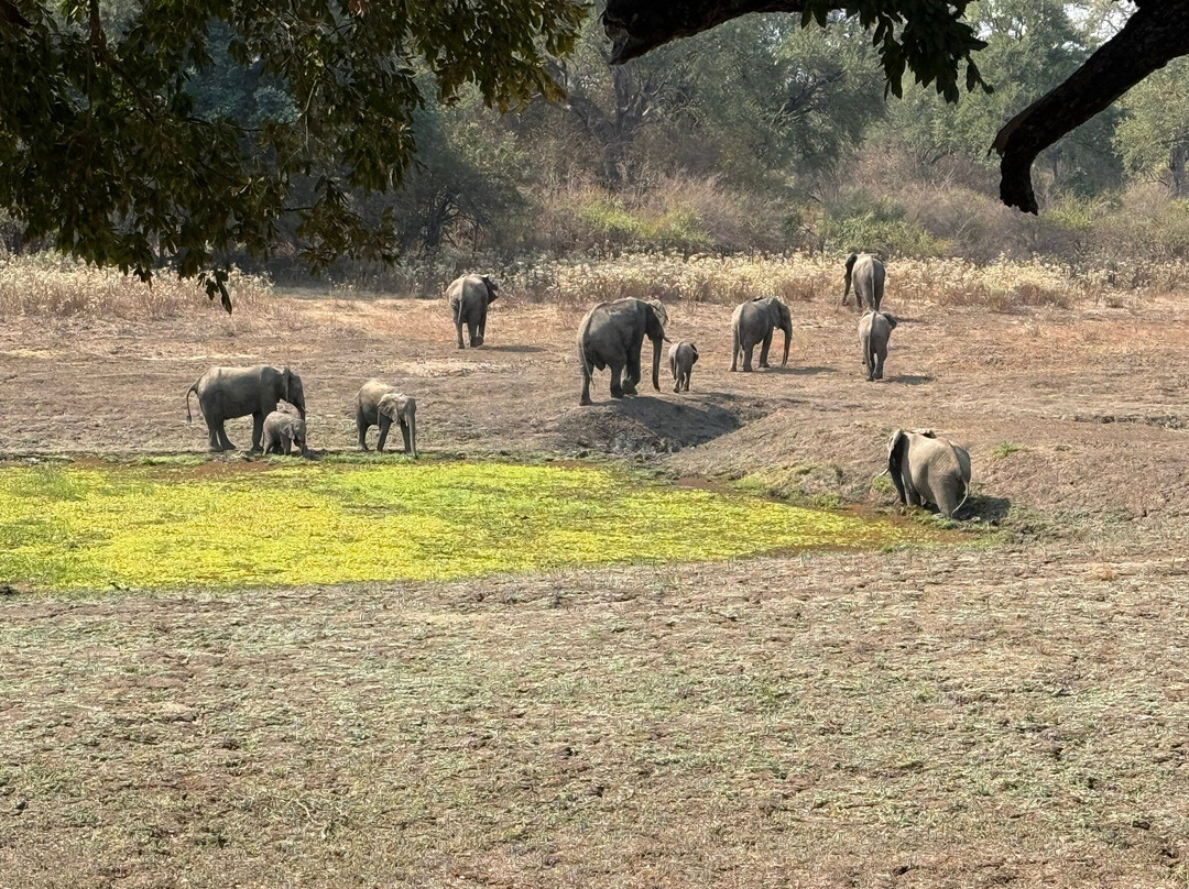 Kukaya The Bushcamp Company