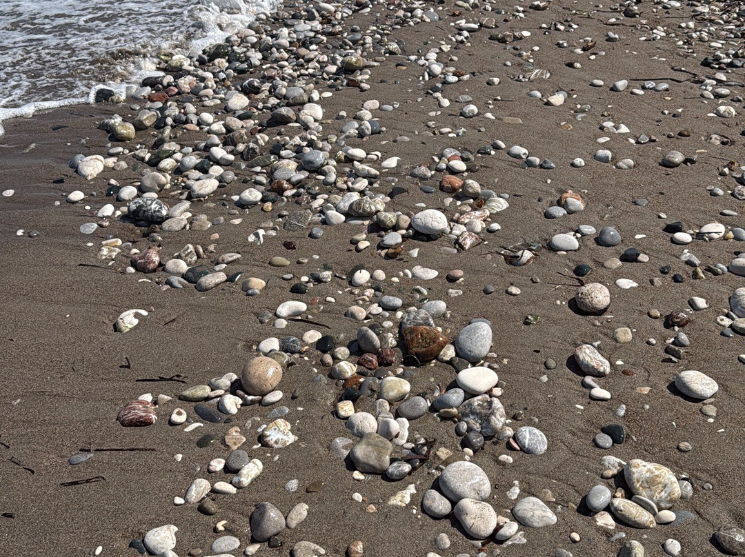 Alex Beach Hotel主图