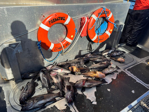 J-Dock Fishing Co.-苏厄德必去景点