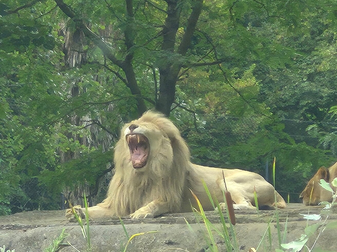 Parco Natura Viva-布索伦戈必去景点