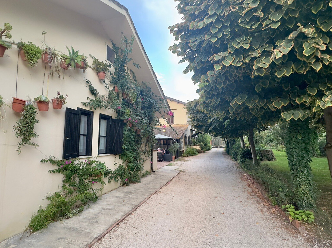 Agriturismo Sabaudia主图