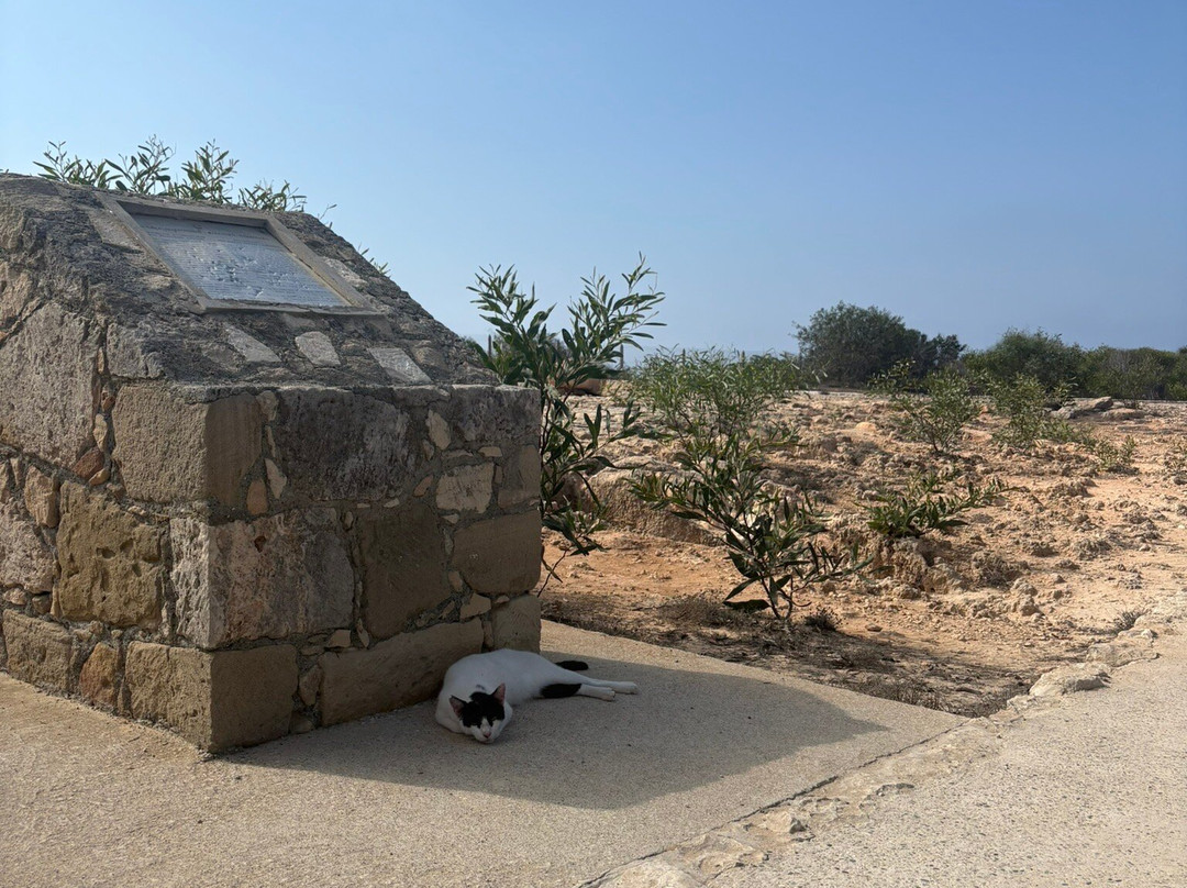 Makronissos Tombs-阿依纳帕必去景点
