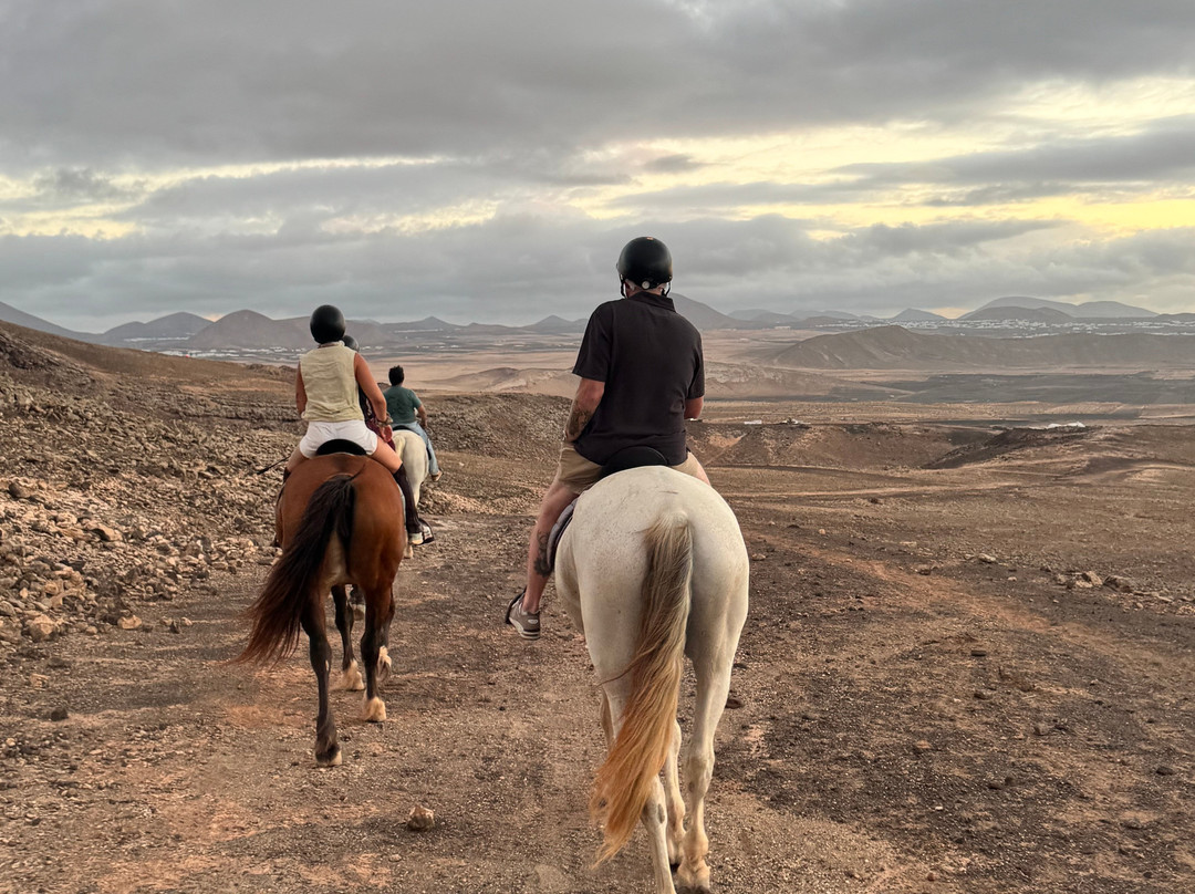 Lanzarote a Caballo-兰萨罗特必去景点