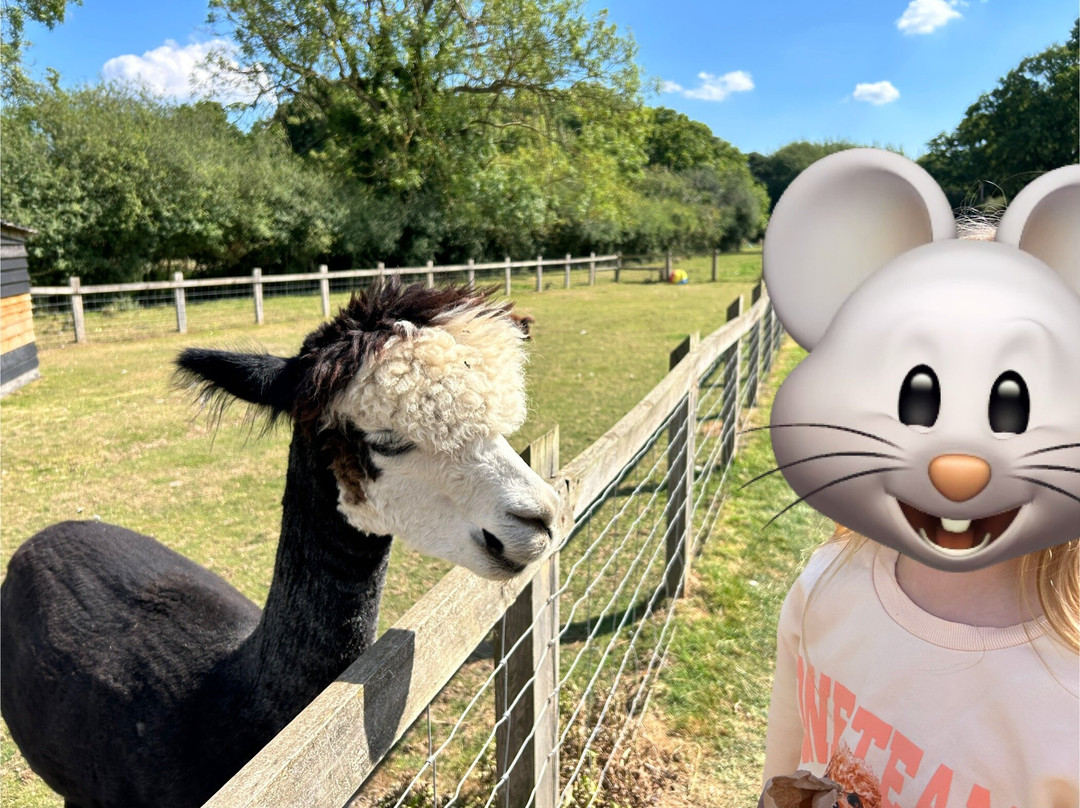 Wroxham Barns-Hoveton必去景点