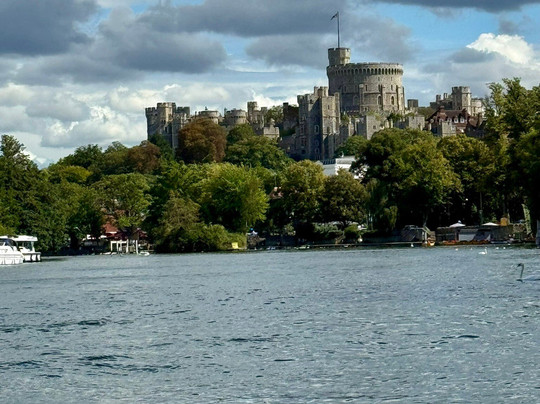 Windsor Duck Tours-温莎必去景点