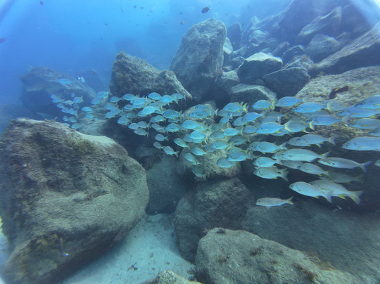 Bahianus Club Lanzarote-卡门港必去景点