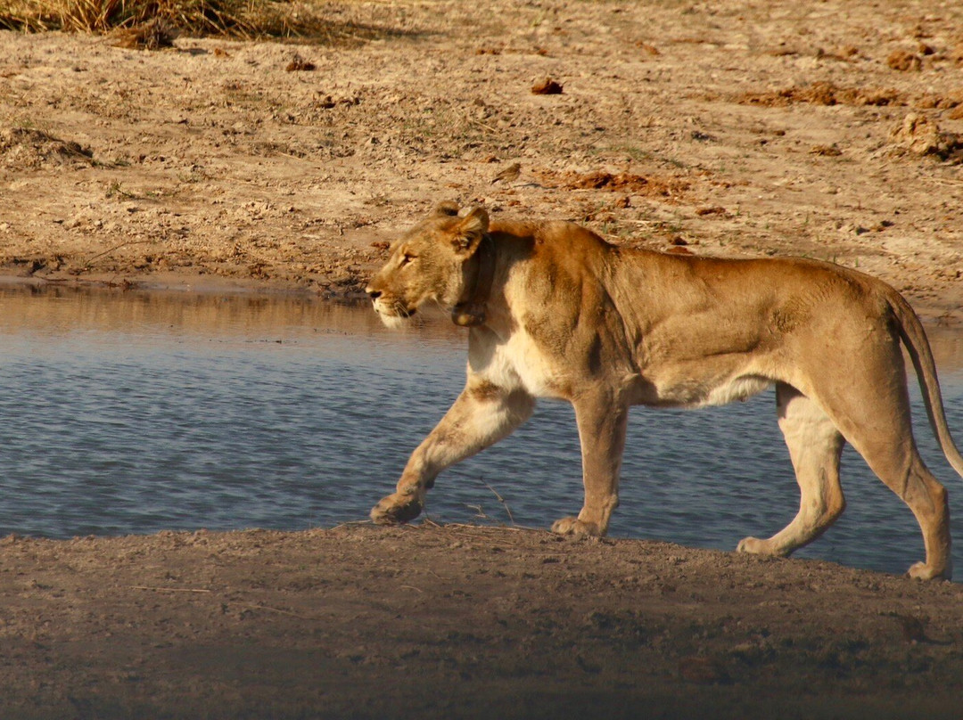 Mahango Game Reserve-奥奇瓦龙戈必去景点