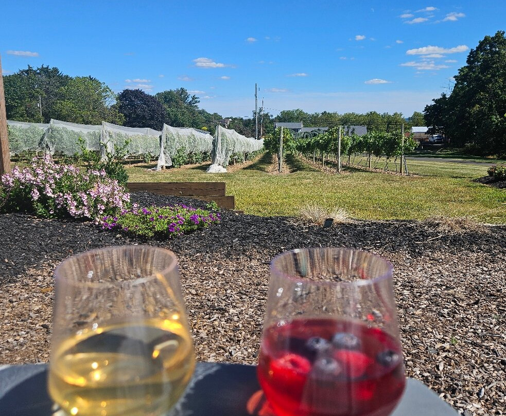 Knox Vineyards-Chalfont必去景点