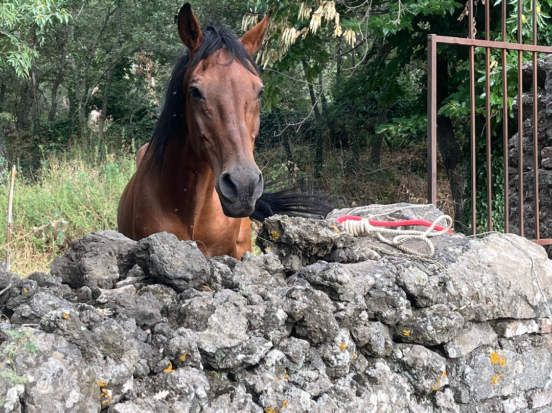 Parco Statella主图