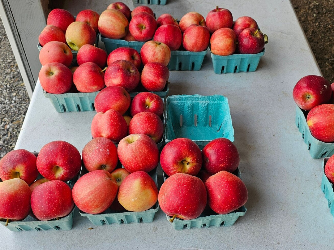 Burton Farms-Glen Arm必去景点