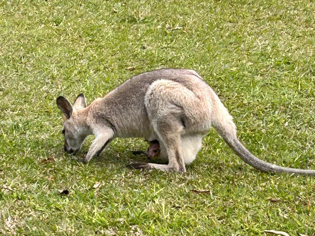 Gwinganna Lifestyle Retreat主图