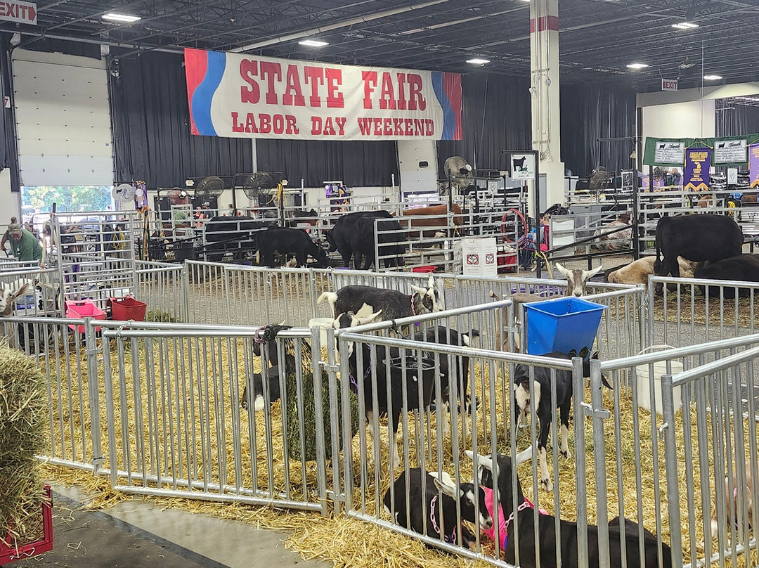 Suburban Collection Showplace-诺维必去景点