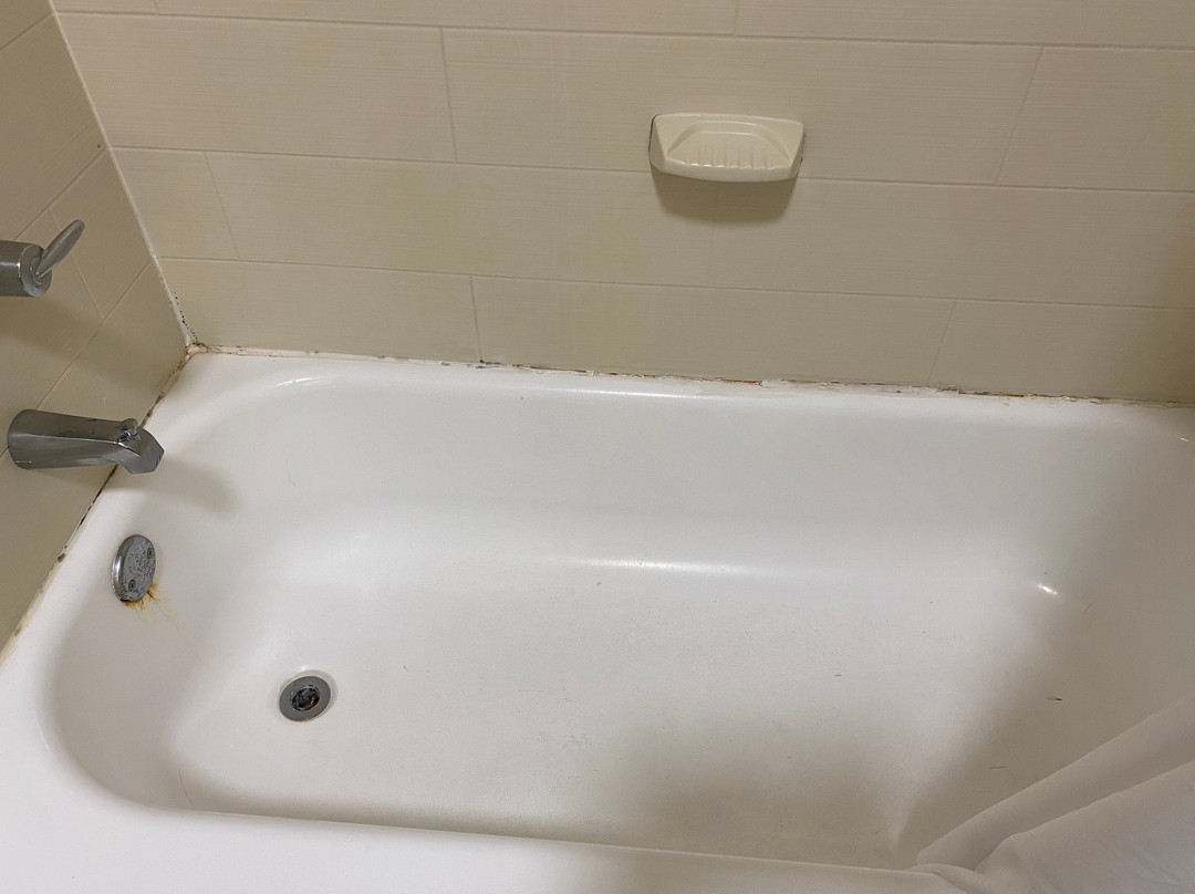 Holiday Inn Express & Suites Beeville by IHG主图