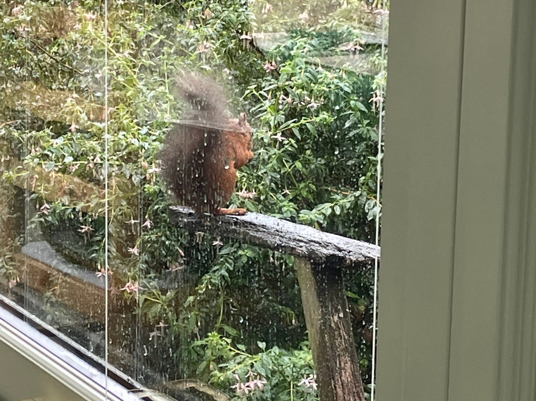 Forest How Guest House主图