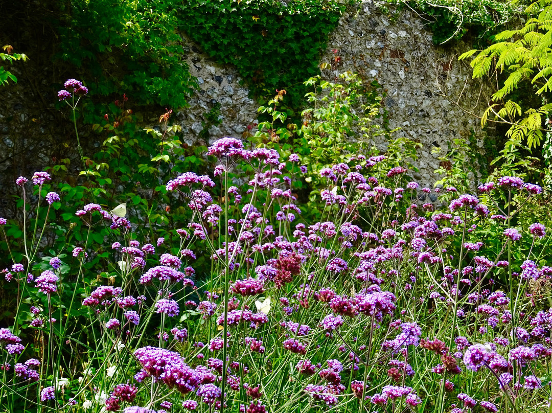 Kipling Gardens-Rottingdean必去景点