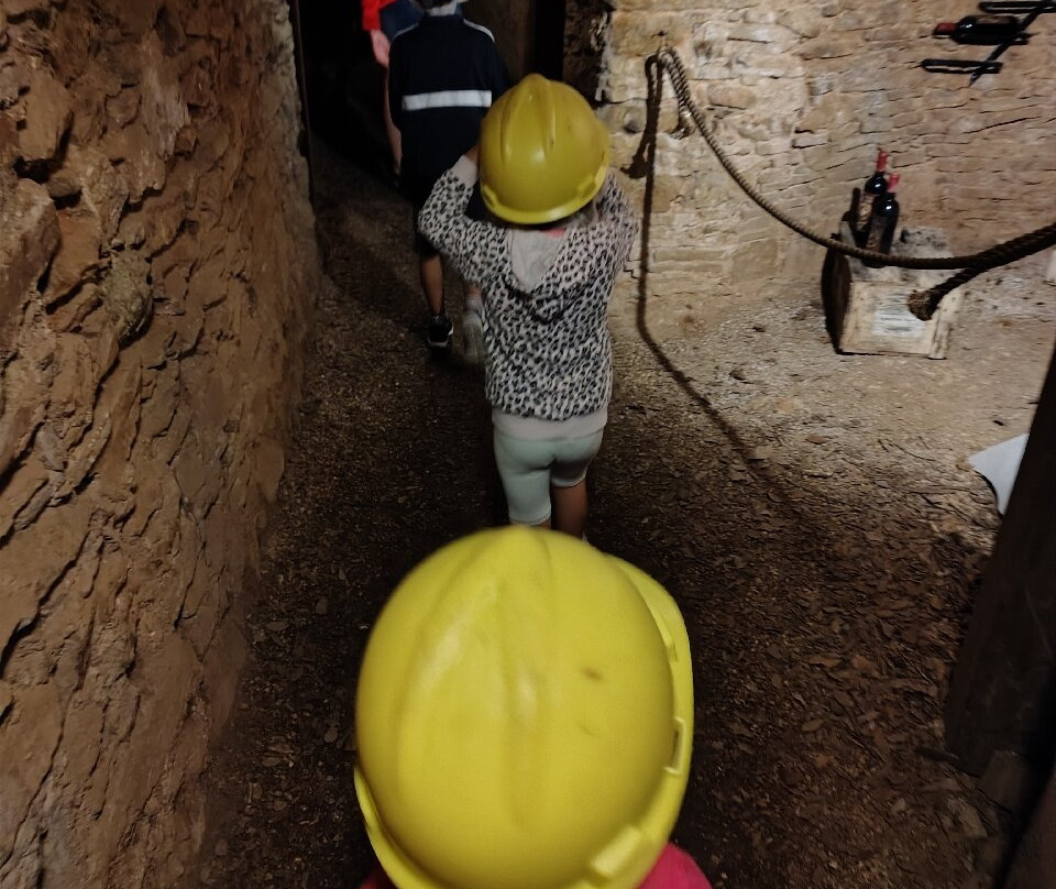 Parco Archeominerario Di San Silvestro-Campiglia Marittima必去景点