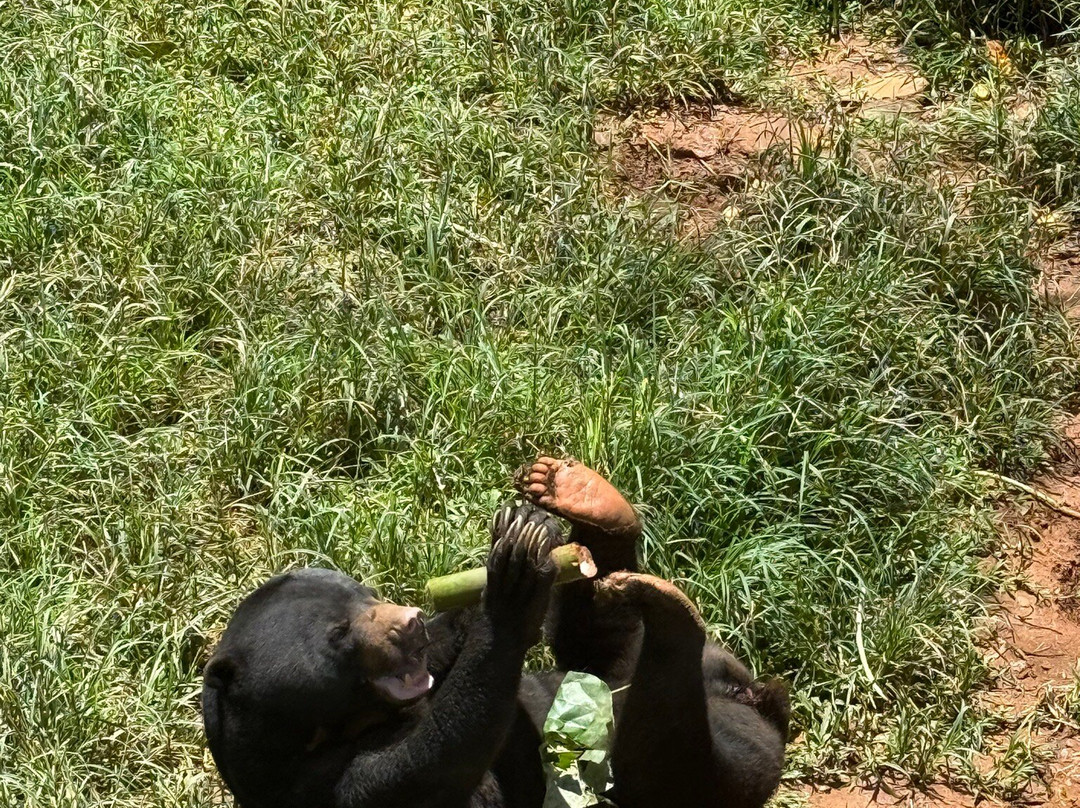 Luang Prabang Wildlife Sanctuary-琅勃拉邦必去景点