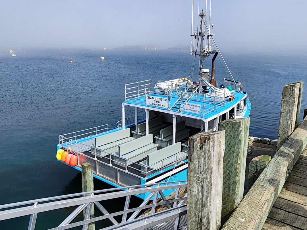 Mariner Cruises Whale and Seabird Tours-Brier Island必去景点