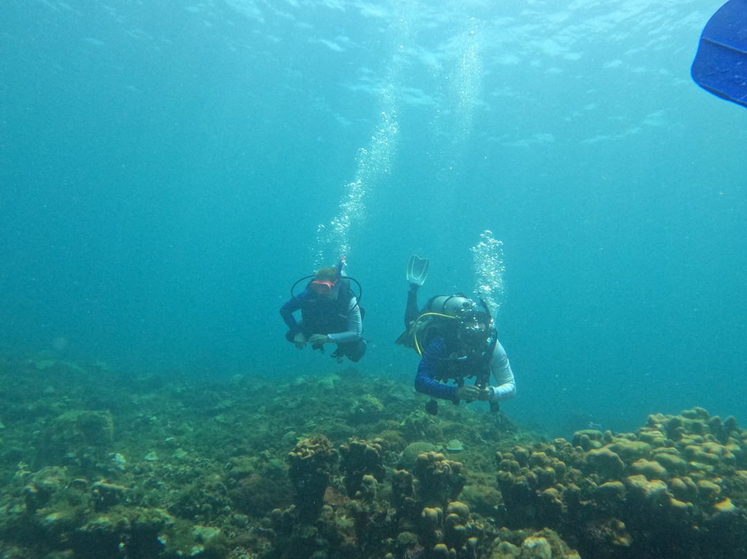 Covenas Diving Co.-Covenas必去景点