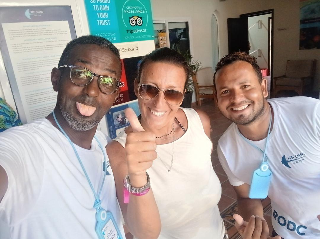 Dive In Sharm-沙姆沙伊赫必去景点