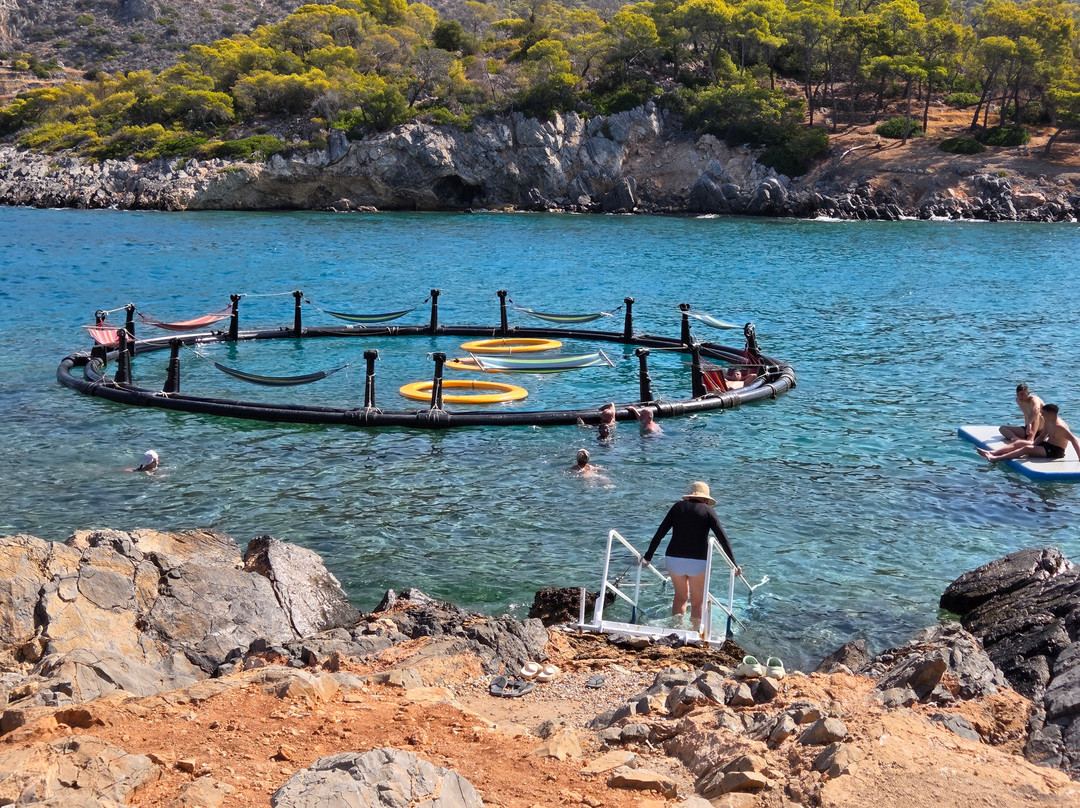 Aponisos Beach-Angistri必去景点