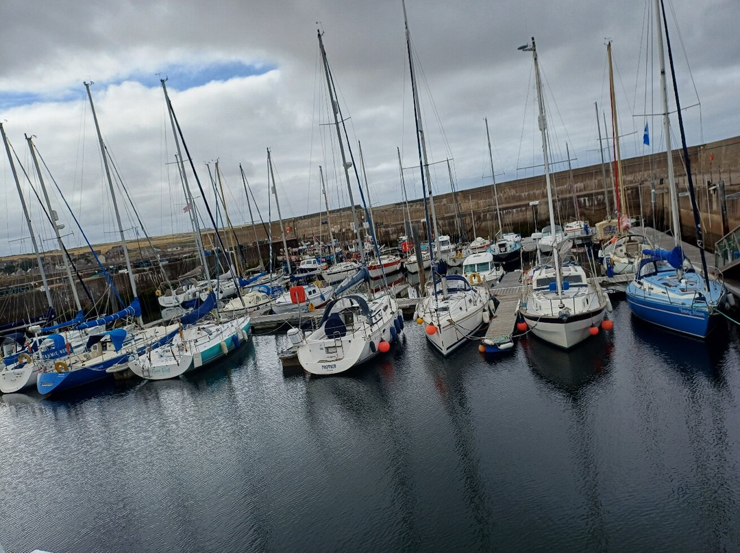 Whitehills Marina-Whitehills必去景点
