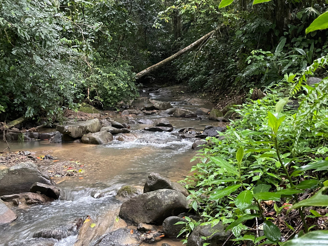 Vayu Retreat Villas主图