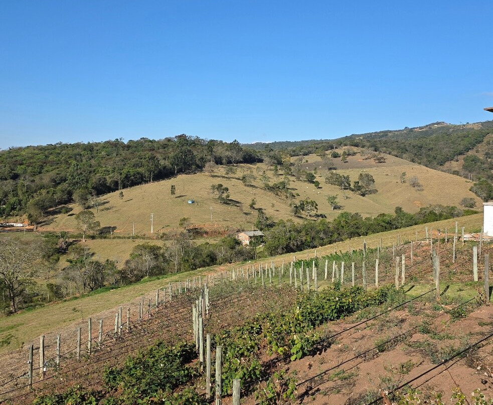 Lavandario-Cunha必去景点