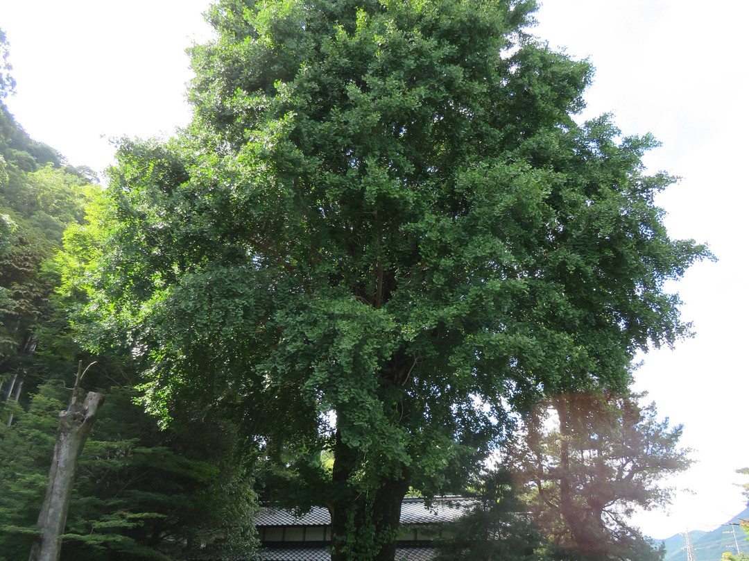 Hiyoshi Shrine-神河町必去景点