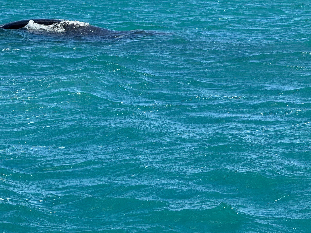 EP Cruises-Fowlers Bay必去景点