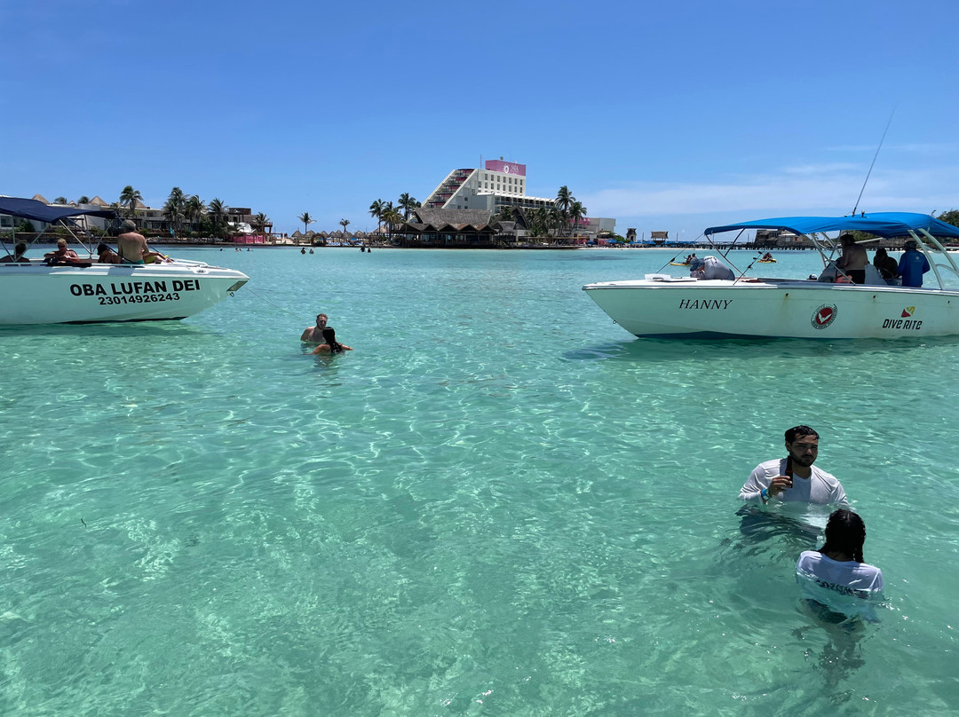 海洋观鲸鲨之旅-坎昆必去景点