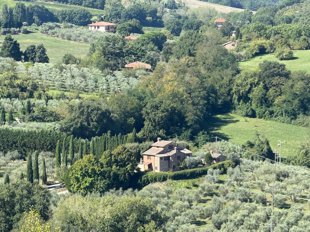 Hotel Vecchia Oliviera主图