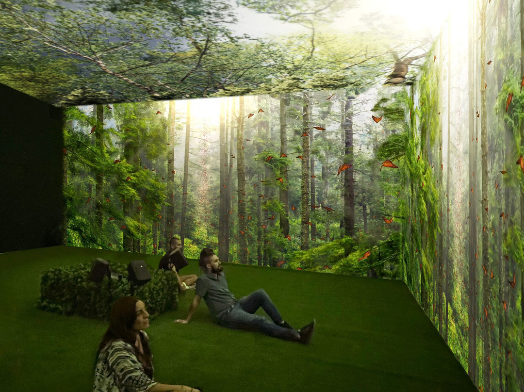 Mystika Inmersivo-墨西哥城必去景点