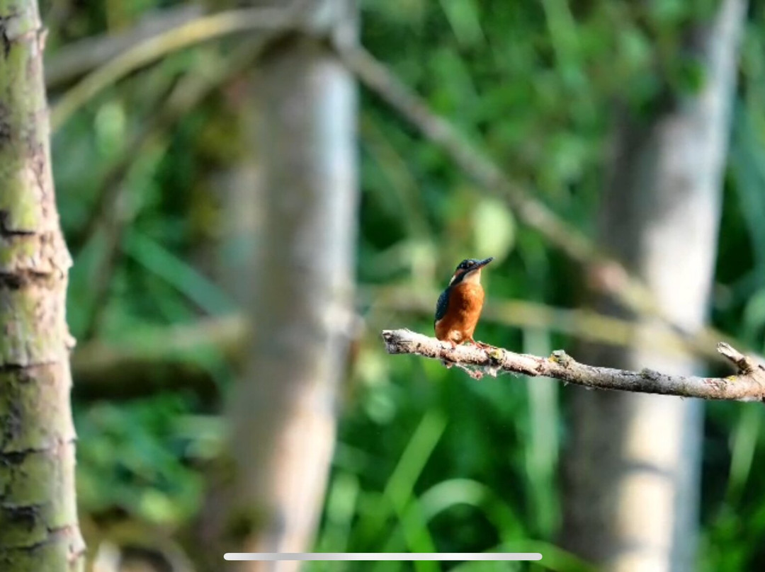 Spains Hall Estate-Finchingfield必去景点