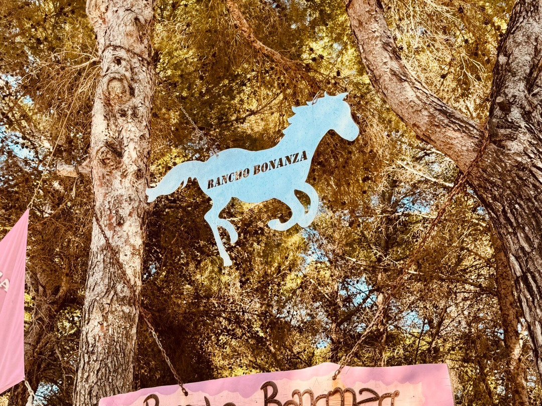 Rancho Bonanza-Cala Ratjada必去景点