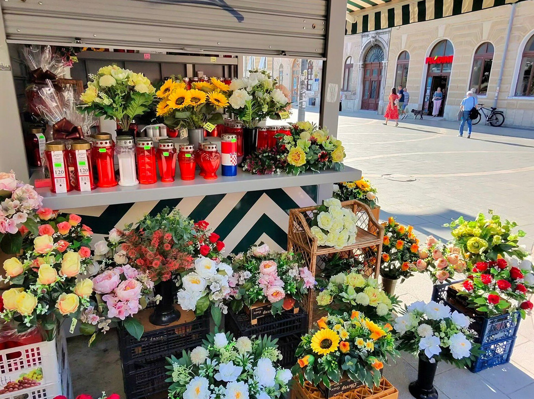 Rijeka Central Market-里耶卡必去景点